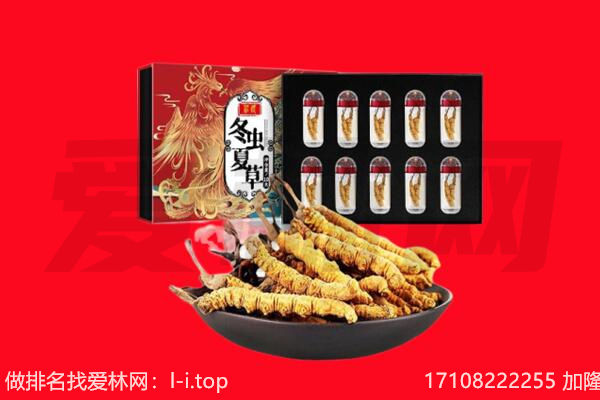 宿州市回收虫草.jpg